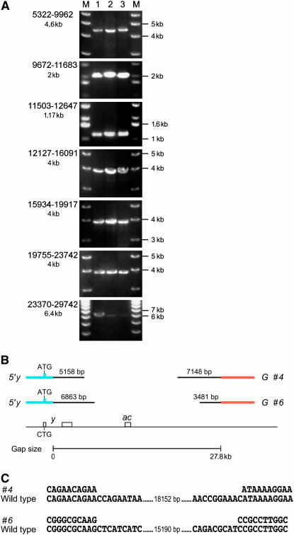 Figure 2.—