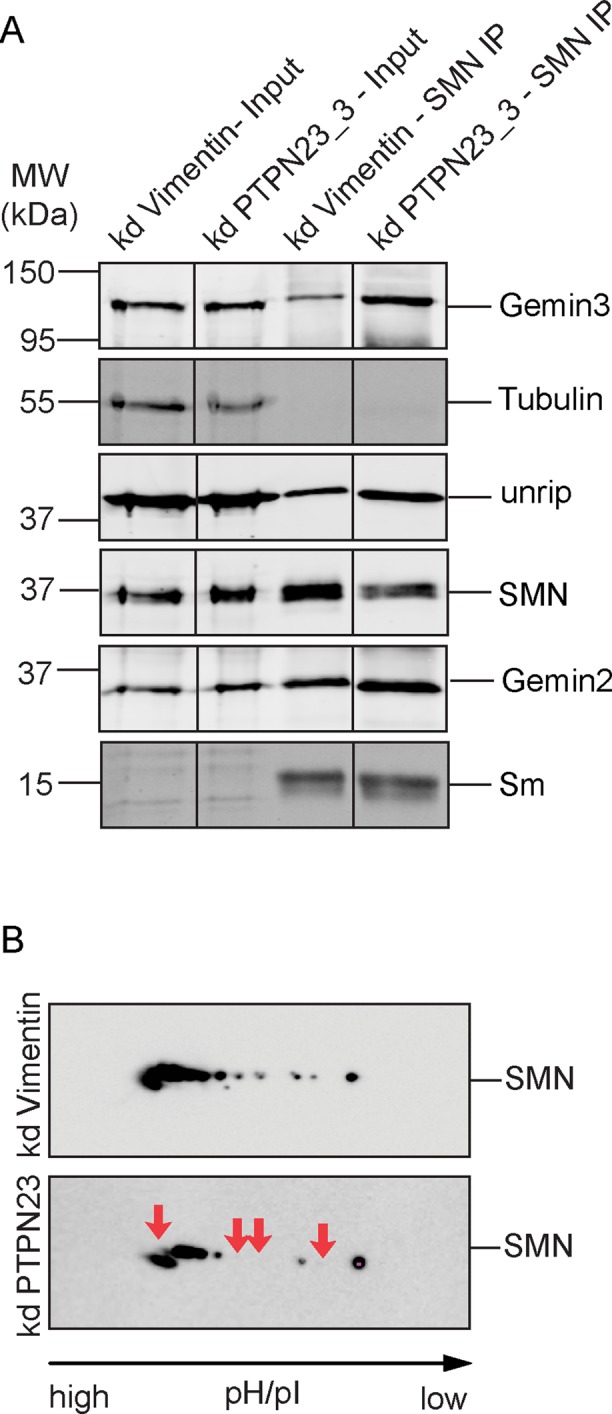 FIGURE 6: