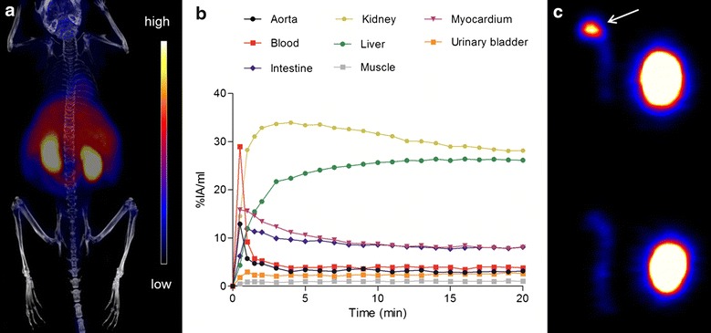 Fig. 2