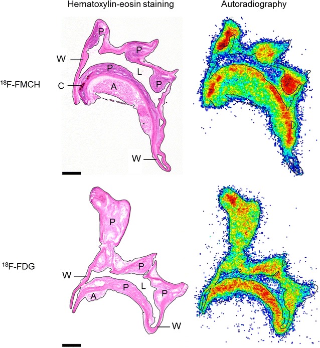 Fig. 3