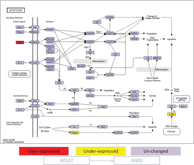 Figure 3.