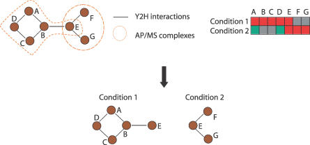 Figure 9