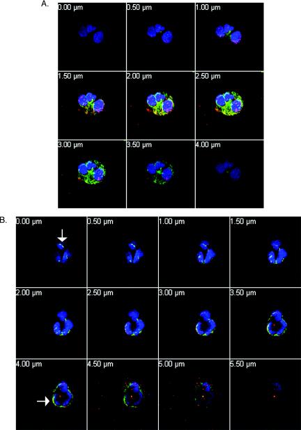 FIG. 7.