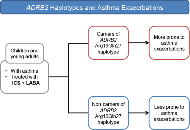 graphic file with name nihms-1734494-f0004.jpg