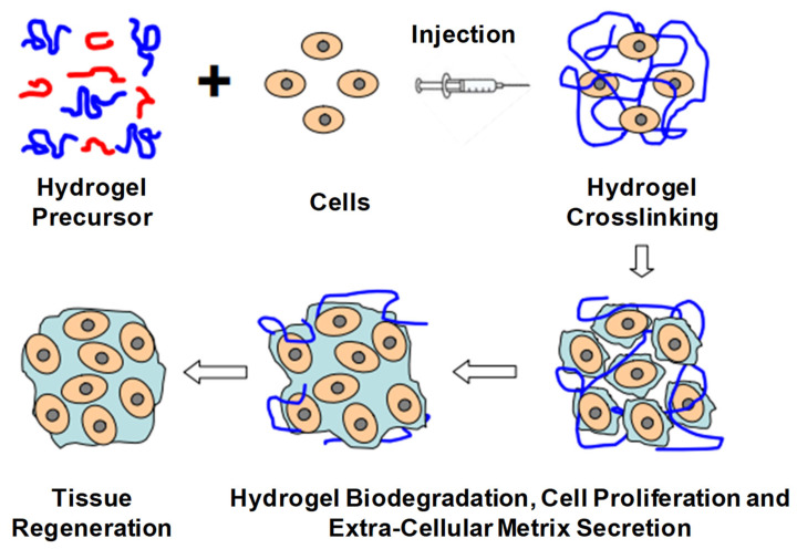 Figure 16