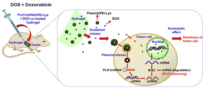 Figure 18