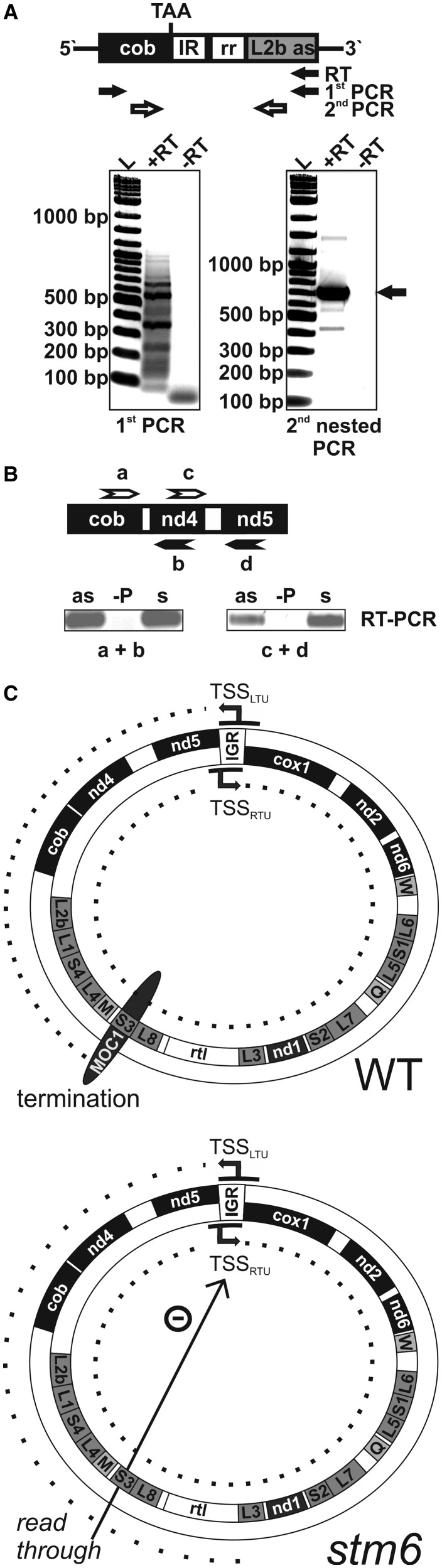 Figure 6.