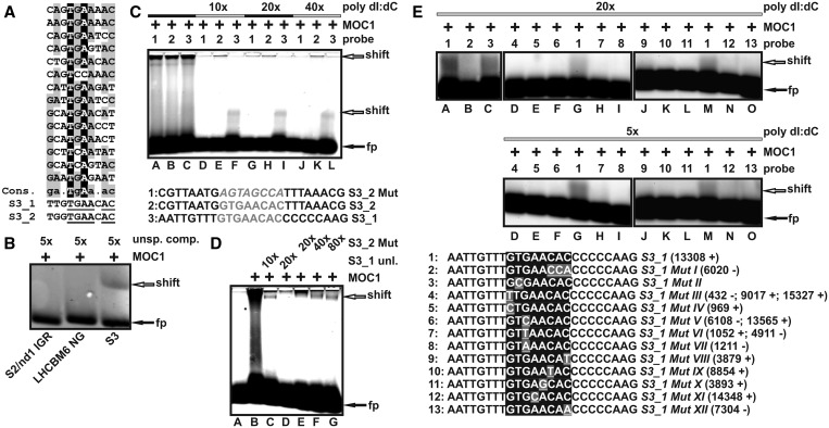 Figure 3.