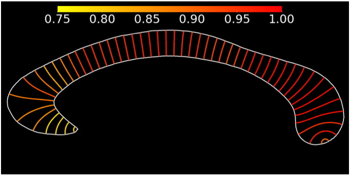 Fig. 3