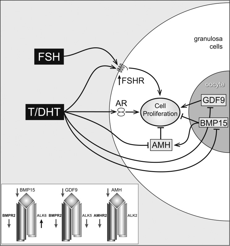 Figure 10.