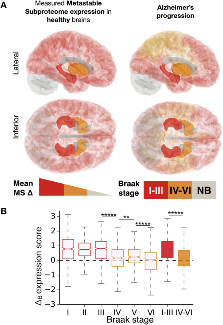 Fig. 13