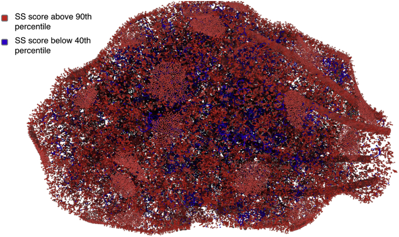 Fig. 10