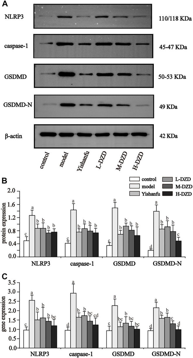 FIGURE 3