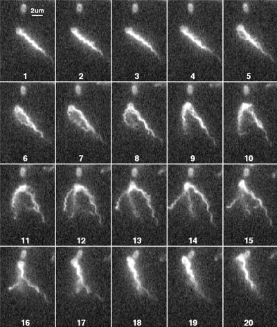 FIG. 10