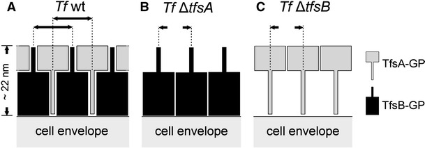 Fig. 9