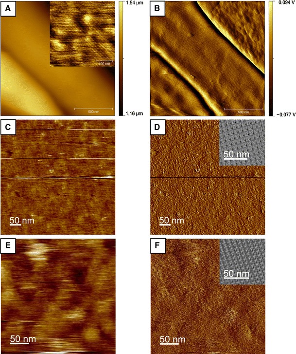 Fig. 7