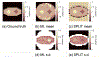 Fig. 3.