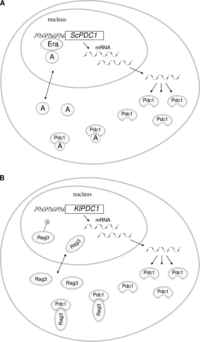 FIG 1