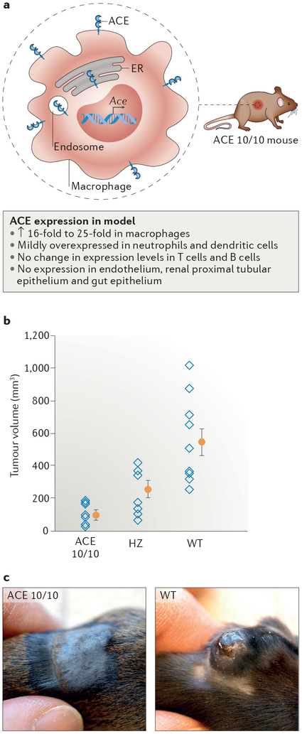 Figure 2 |