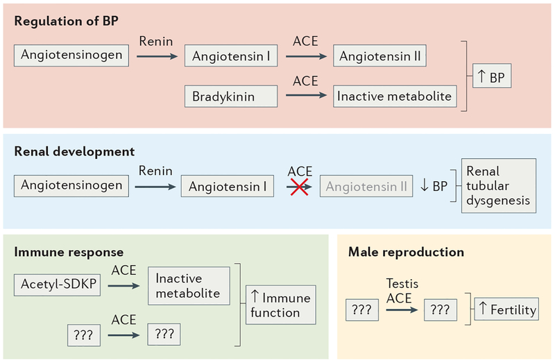 Figure 1 |