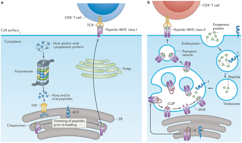 Figure 3 |