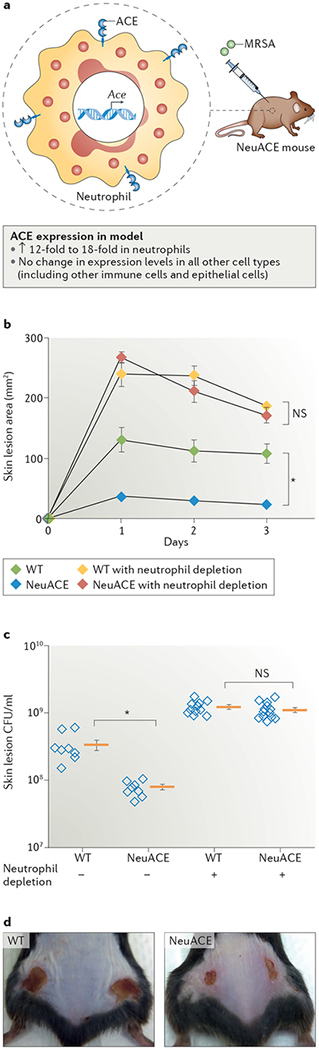 Figure 4 |