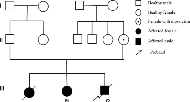 Fig. 2A