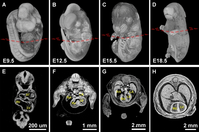 Fig. 2