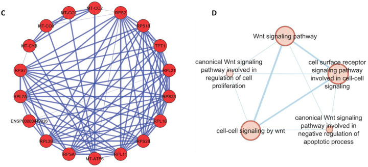 Fig 6.