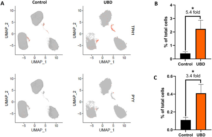 Fig 4.