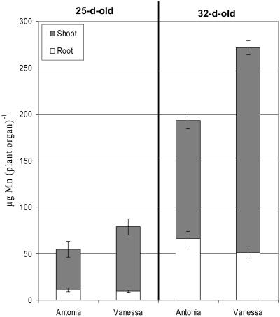 Figure 5.