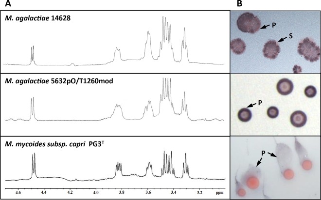 FIG 5