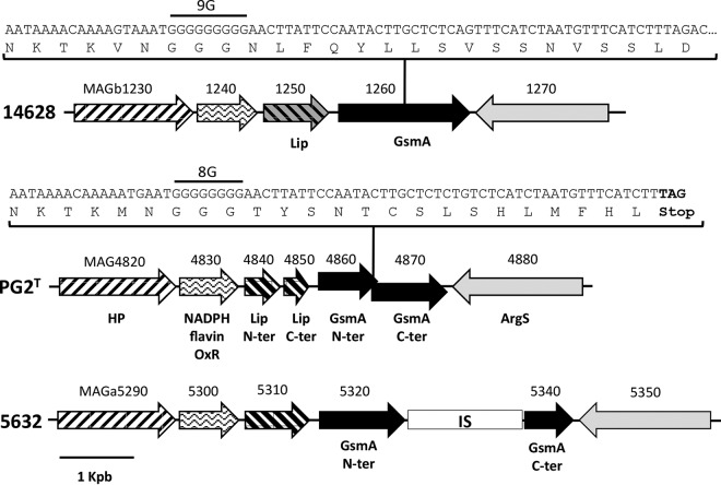 FIG 2