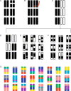 Figure 4.2
