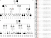 Figure 4.1