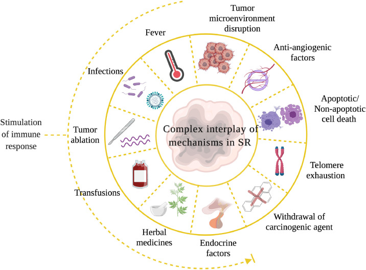 Fig 4