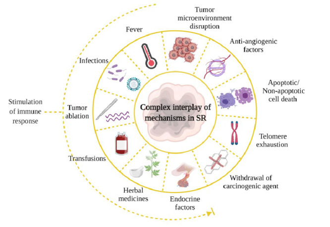 Image, graphical abstract