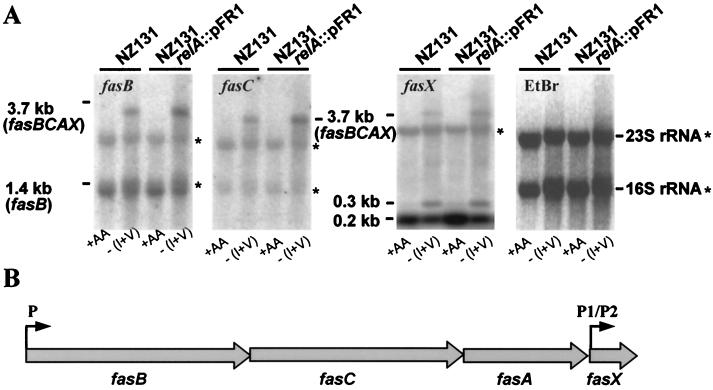 FIG. 5