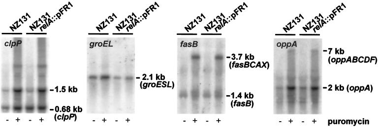 FIG. 7