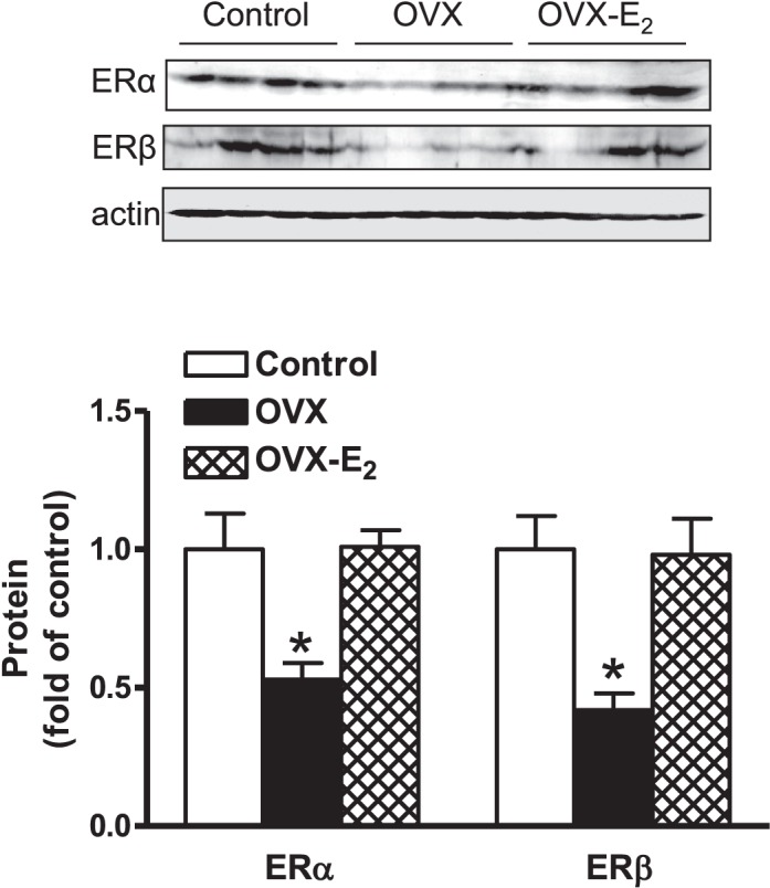 FIG. 6