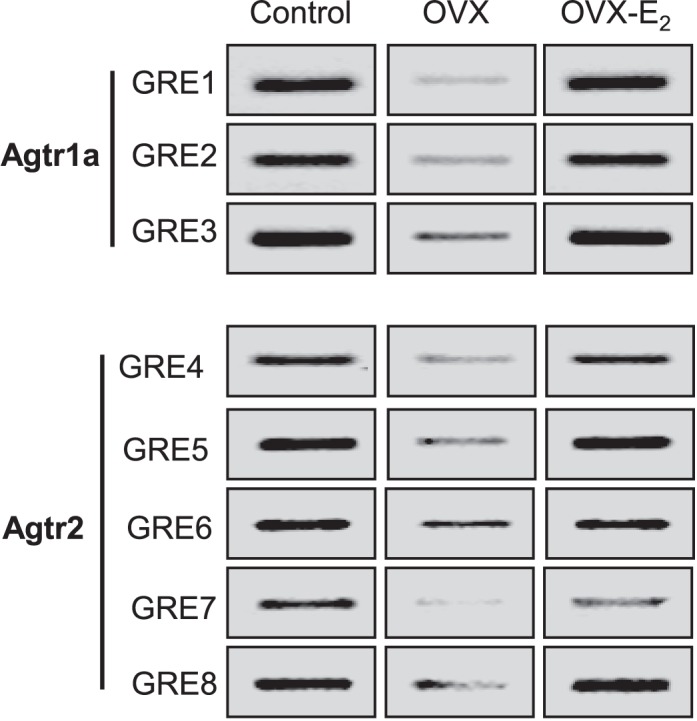 FIG. 7