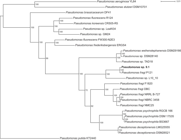 FIG 1