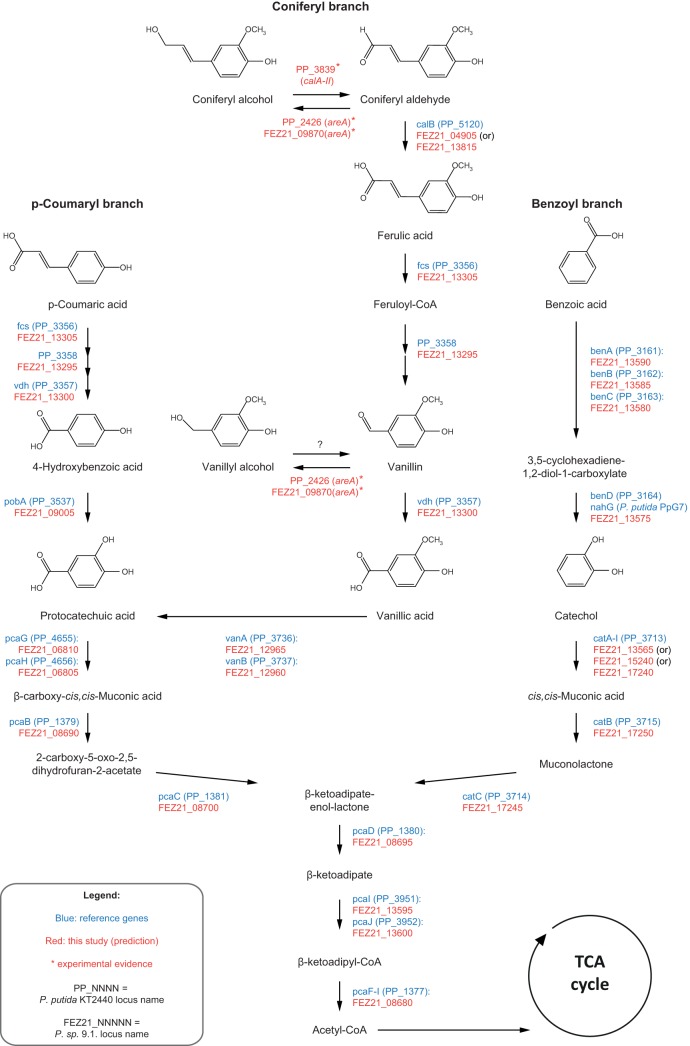 FIG 6