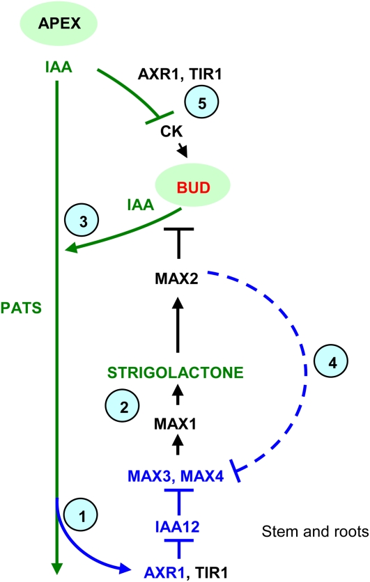 Figure 6.