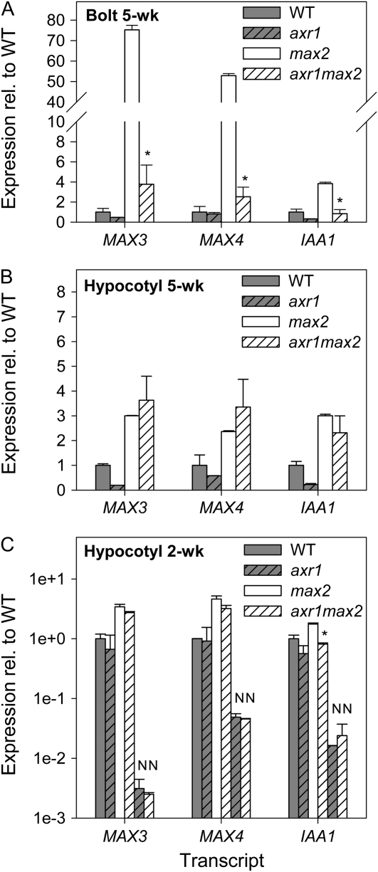 Figure 4.