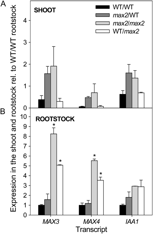 Figure 5.