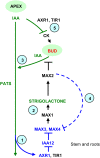 Figure 6.