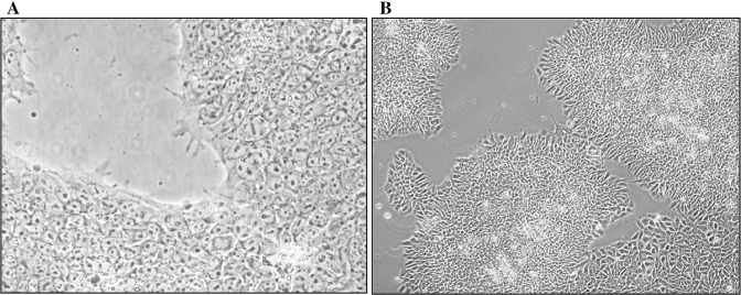 Fig. 14