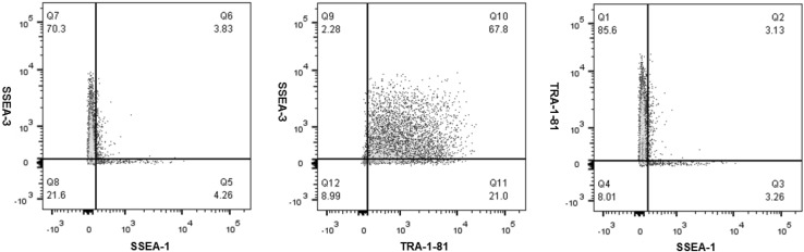 Fig. 7