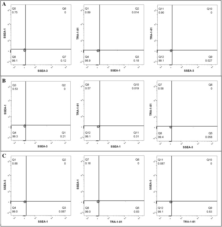 Fig. 13